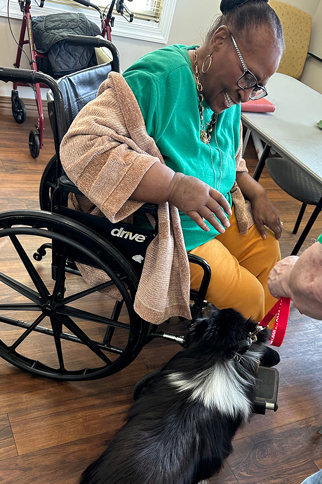 Senior woman in wheelchair smiling and interacting with small black and white dog.
